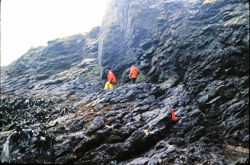 Photo of sample